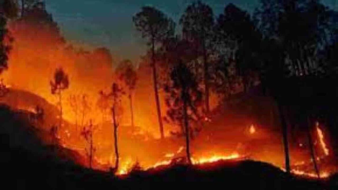 లాస్ ఏంజెల్స్ లో మళ్లీ మళ్లీ మొదలైన కార్చిచ్చు .. నివాసాలు విడిచి వెళ్లాలని వెళ్లాలని ఆదేశాలు
