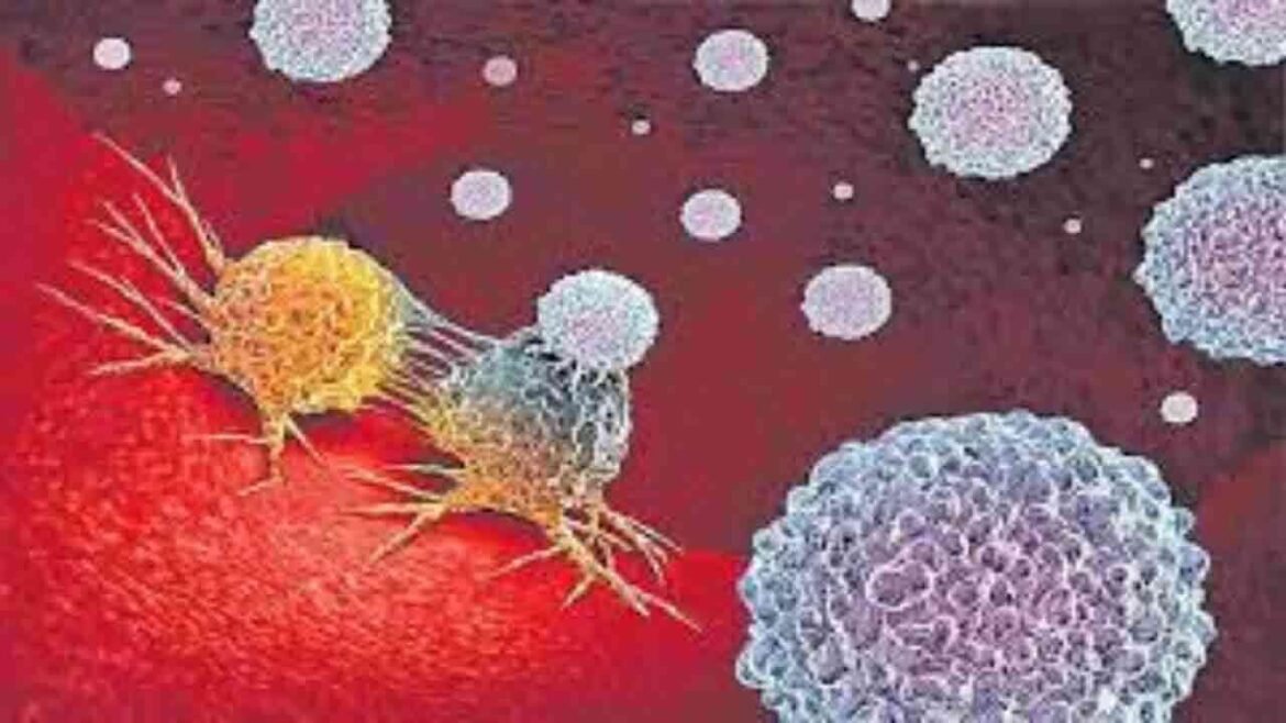 ఆ ఎంజైమ్ ను అడ్డుకుంటే అడ్డుకుంటే క్యాన్సర్ కు చెక్ .. గుర్తించిన దక్షిణ కొరియా శాస్త్రవేత్తలు శాస్త్రవేత్తలు
