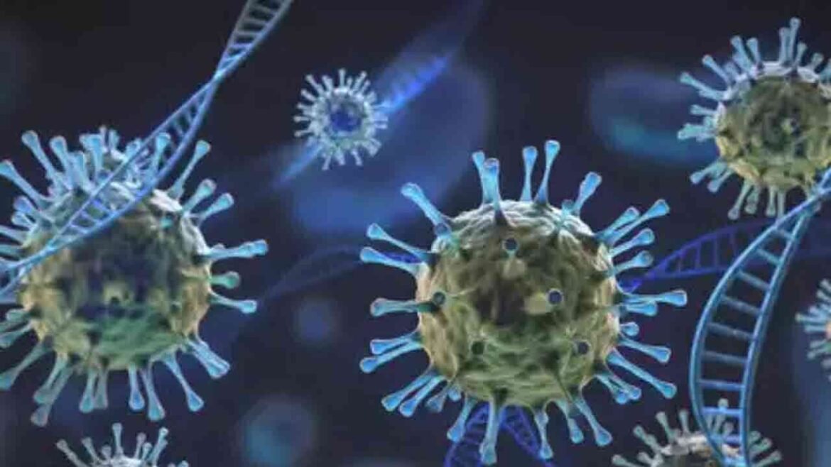 చైనాలో మరో కొత్త వైరస్ .. కరోనా కరోనా తరహాలో వ్యాపించే వ్యాపించే.!
