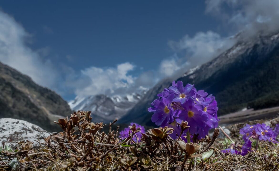 ఈశాన్య భారతదేశంలో 5 ఉత్కంఠభరితమైన హిల్ స్టేషన్లు మీరు ASAP ని సందర్శించాలనుకుంటున్నారు
