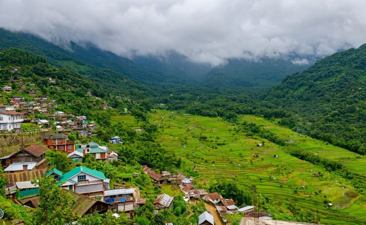ఖోనోమా గురించి - భారతదేశం యొక్క మొట్టమొదటి ఆకుపచ్చ గ్రామం ఎప్పుడూ దొంగతనాలు లేకుండా
