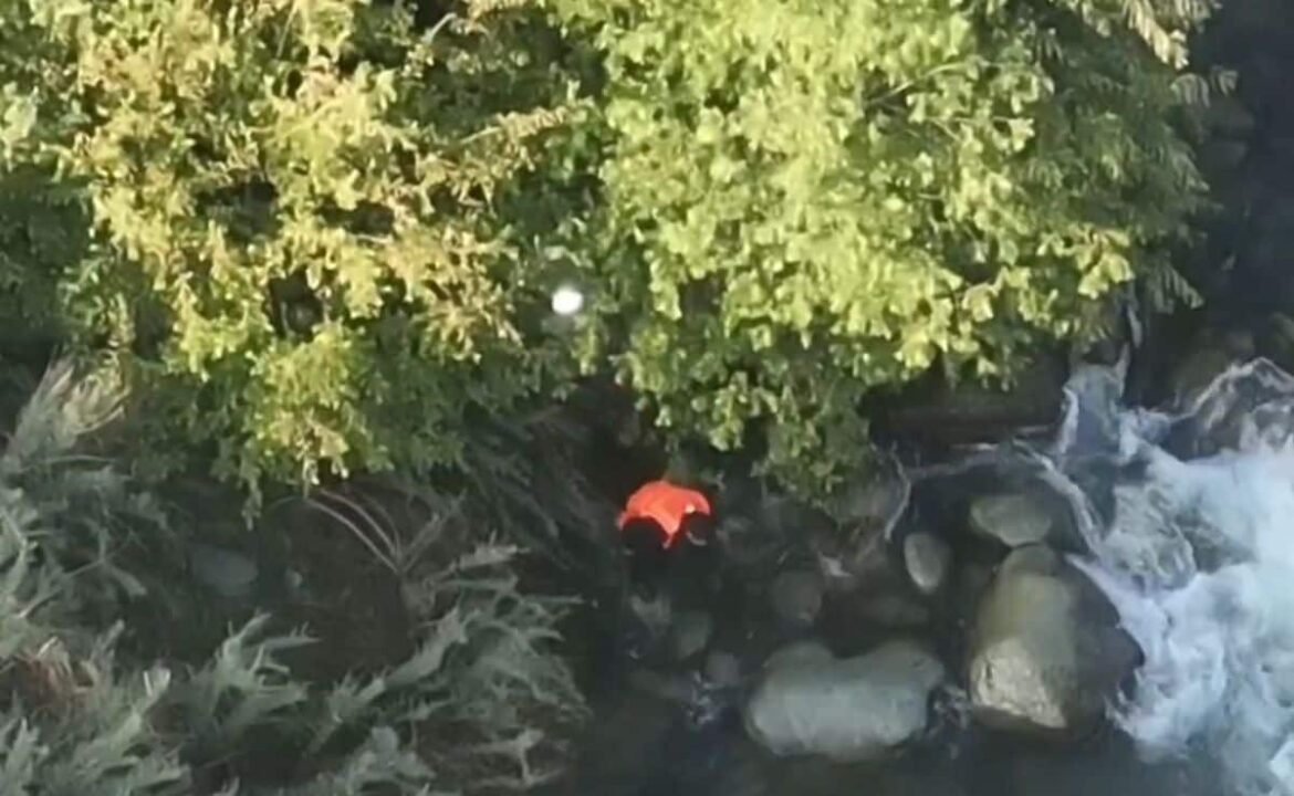 జె & కెలో ఉగ్రవాదులకు నదిలోకి దూకడం, మునిగిపోయే వ్యక్తి సహాయం చేశాడని వ్యక్తి
