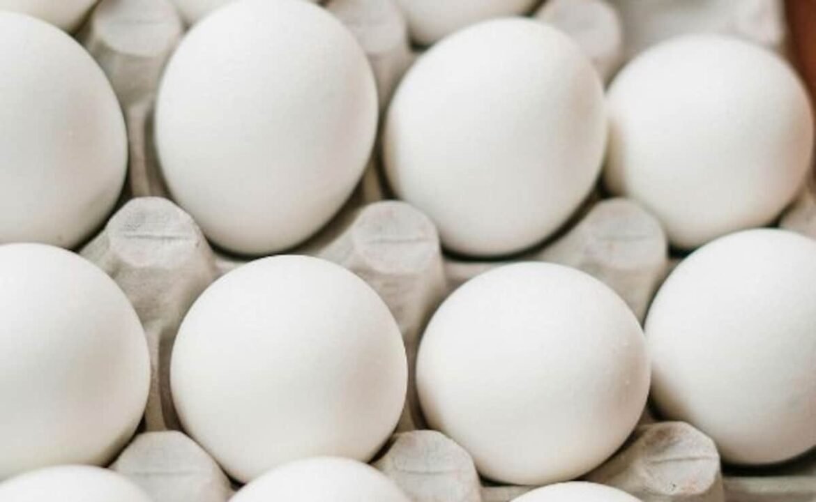 ప్రతిరోజూ గుడ్లు తినడం అంతిమ డాస్ & చేయనివి
