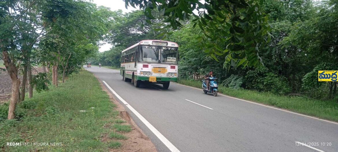 పల్లెలకు అందాన్ని పల్లె పల్లె - ముద్రా న్యూస్
