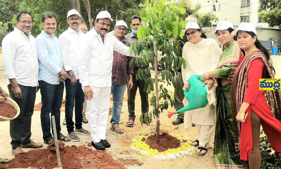 వన మహోత్సవంలో మొక్కలు నాటి ప్రకృతిని సంరక్షించాలి
