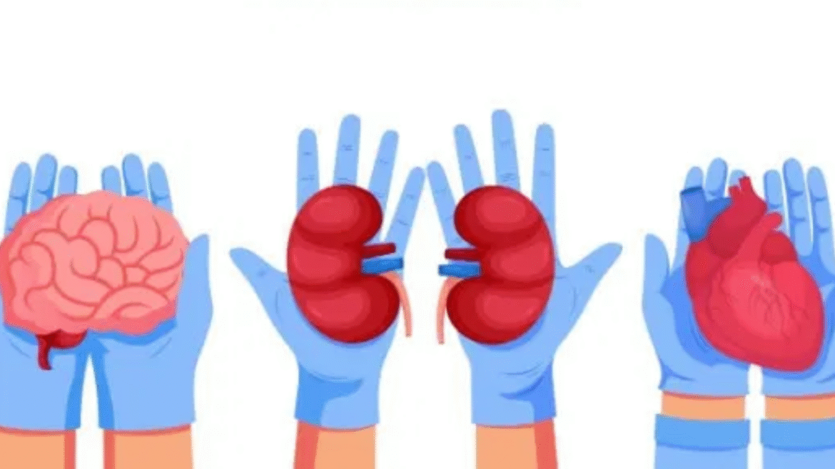 మరో ప్రాణంలో బతికే ఉందా!
