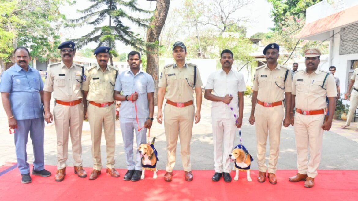 8నెలలు ట్రైనింగ్, పరీక్షలలో గోల్డ్ మెడల్ సాధించిన శునకం.. నేడు డ్యూటీలో చేరిక | వరంగల్ పోలీస్ కమిషనరేట్‌లో చేరిన పోలీసు కుక్కలు, భైరవుడు మరియు విరాట్ శిక్షణలో బంగారు పతకం సాధించాడు
