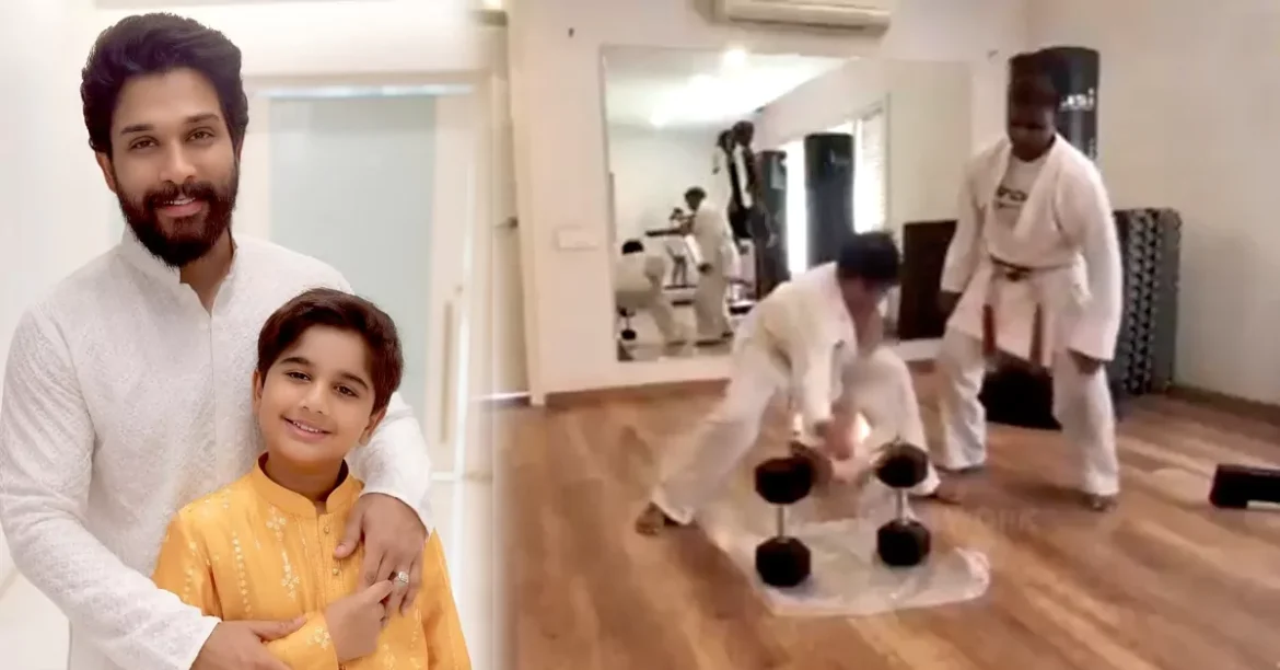 tmdb-header-middle-logo