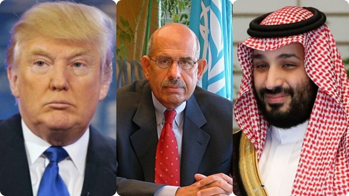 ఆ పిచ్చోడిని ఆపండి-గల్ఫ్ అగ్నిగోళం కాకముందే-ఐఏఈఏ మాజీ బాస్ పిలుపు..! | ట్రంప్ యొక్క ఇరాన్ అల్టిమేటంపై చర్య తీసుకోవాలని గల్ఫ్ దేశాలను మాజీ IAEA బాస్ ఎల్‌బరాడీ కోరారు: 'ఈ పిచ్చిని ఆపండి'
