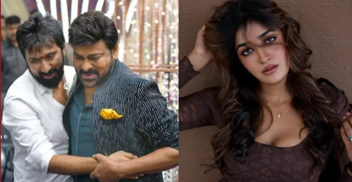 tmdb-header-middle-logo