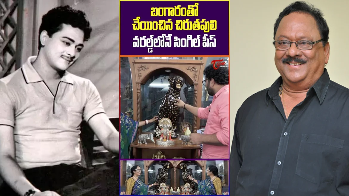 tmdb-header-middle-logo