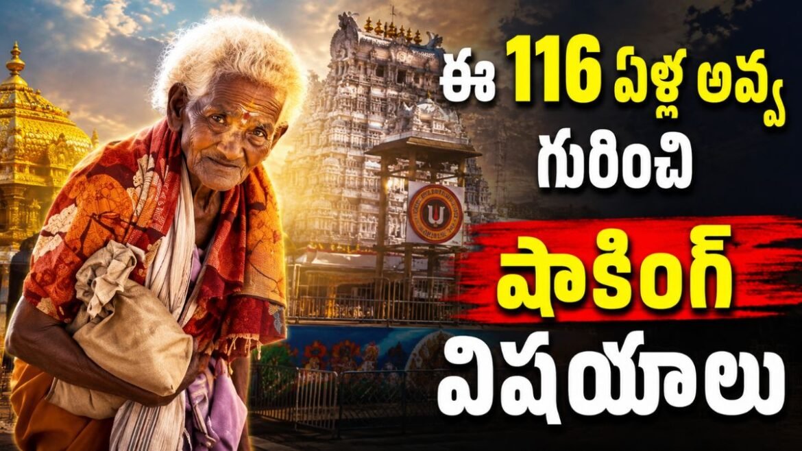 116 ఏళ్ల వృద్ధురాలికి టీటీడీ బంపర్ ఆఫర్! "దొరకునా ఇటువంటి సేవ" | 116 ఏళ్ల వృద్ధురాలు కాలినడకన తిరుమల: భక్తులకు ప్రత్యేక దర్శనం కల్పిస్తామని టీటీడీ చైర్మన్ బీఆర్ నాయుడు హామీ ఇచ్చారు.
