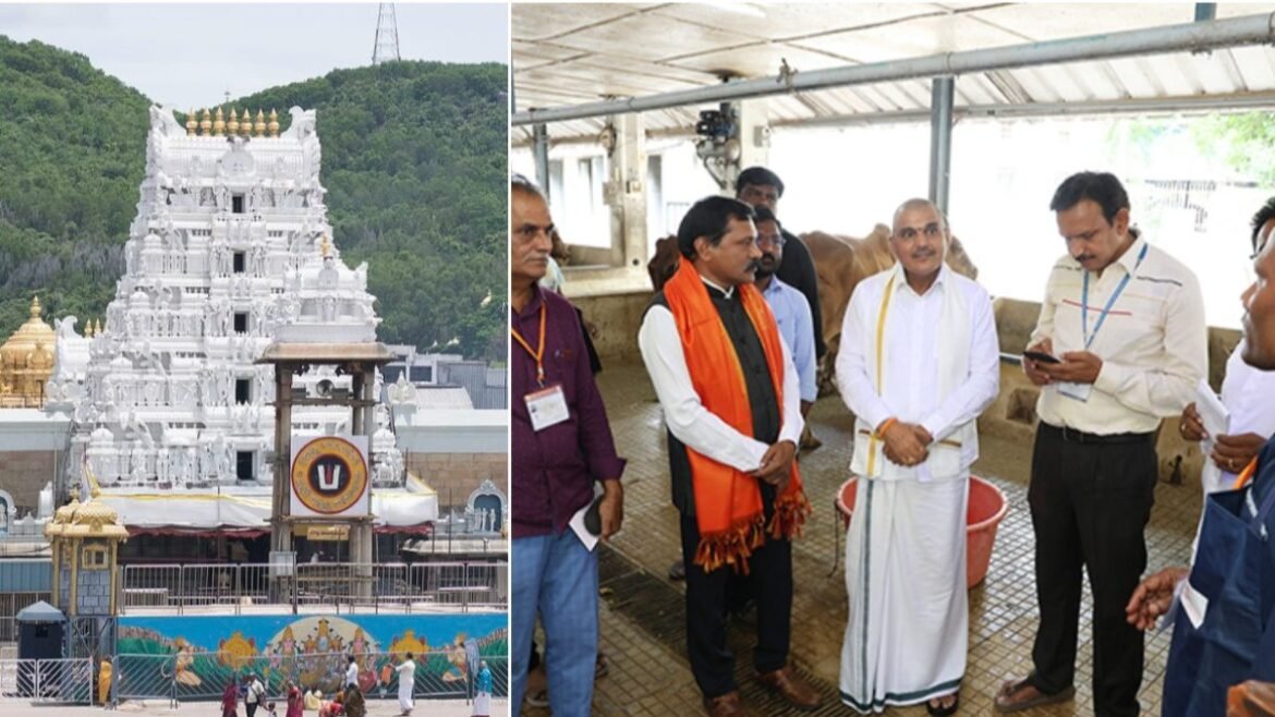 టీటీడీలో నూతన స్లాట్ బుకింగ్- 488 మంది పేర్లు రిజిస్టర్: మీరూ ట్రై చేయవచ్చు | 488 వైద్య నిపుణులు వాలంటరీ కేర్‌లో చేరారు SV గోసంరక్షణ శాల అధునాతన ఆవు ఆరోగ్య సంరక్షణను అందిస్తుంది
