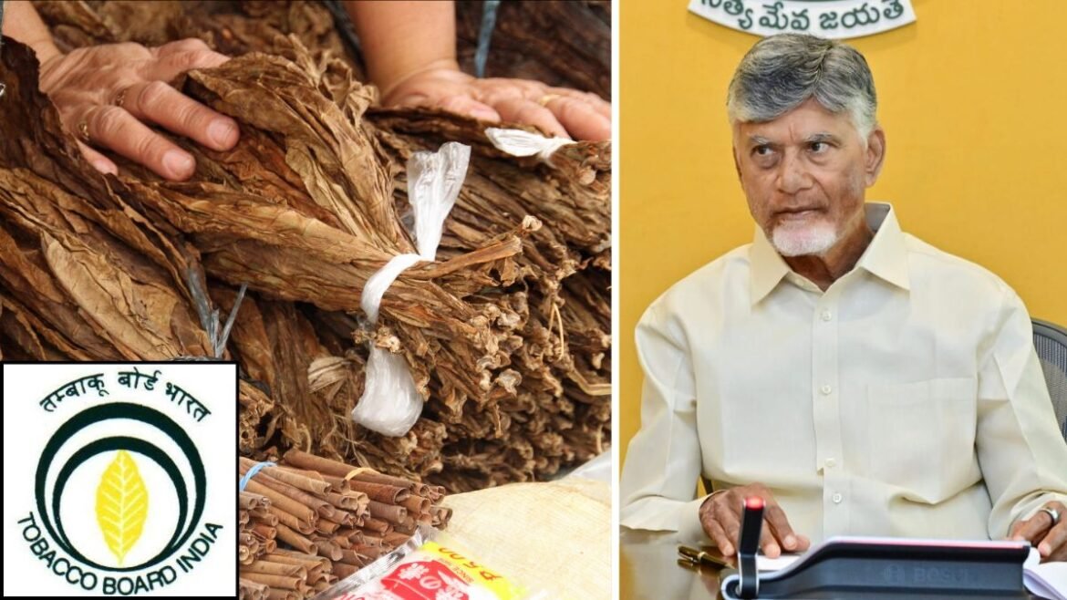 పొగాకు కొనాల్సిందే..! టొబాకో బోర్డు, కంపెనీలకు సీఎం వార్నింగ్ | ప్రధాన తయారీ సంస్థలు కొనుగోలు చేయడంలో జాప్యం కారణంగా AP ప్రభుత్వం పొగాకు కిలోకు కనీస ధర రూ.200గా నిర్ణయించింది.
